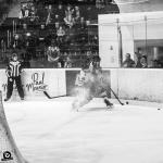 Photo hockey match Tours  - Courchevel-Méribel-Pralognan le 09/10/2024