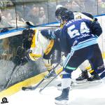 Photo hockey match Tours  - Strasbourg  le 15/02/2025