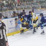 Photo hockey match Tours  - Strasbourg  le 15/02/2025