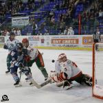 Photo hockey match Tours / Féminine - Cergy-Pontoise / Féminin le 05/11/2022