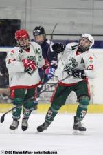 Photo hockey match Tours / Féminine - Cergy-Pontoise / Féminin le 03/01/2026