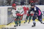 Photo hockey match Tours / Féminine - Cergy-Pontoise / Féminin le 03/01/2026