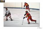 Photo hockey match Valence - Amnéville le 10/01/2009