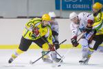 Photo hockey match Viry-Châtillon - Colmar le 14/12/2013