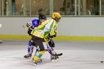 Photo hockey match Viry-Châtillon - Compiègne le 28/09/2013