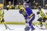 Photo hockey match Viry-Châtillon - Dijon II le 25/01/2014