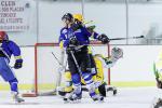 Photo hockey match Viry-Châtillon - Dijon II le 25/01/2014