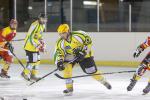 Photo hockey match Viry-Châtillon - Orléans le 30/11/2013