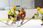 Photo hockey match Viry-Châtillon - Orléans le 30/11/2013