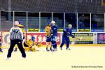 Photo hockey reportage Amicaux : Les Ducs trônent en Suisse