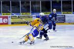 Photo hockey reportage Amicaux : Les Ducs trônent en Suisse