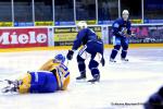 Photo hockey reportage Amicaux : Les Ducs trônent en Suisse
