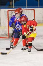Photo hockey reportage Asnières vs Orléans : Photos U11