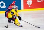 Photo hockey reportage Berne s'impose logiquement à Pole Sud