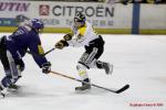 Photo hockey reportage Carré final Espoirs : les 1/2 en images