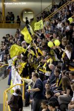 Photo hockey reportage Carré final Espoirs : les Finales en images