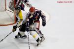 Photo hockey reportage Carré final Espoirs : les Finales en images