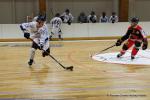 Photo hockey reportage CDF Roller : L'exploit n'était pas loin