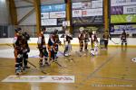 Photo hockey reportage CDF Roller : Les Tigres régalent