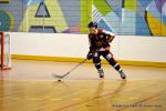 Photo hockey reportage CDF Roller : Les Tigres régalent