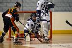 Photo hockey reportage CDF Roller : Les Tigres régalent