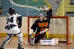 Photo hockey reportage CDF Roller : Les Tigres régalent