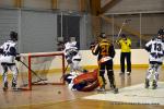 Photo hockey reportage CDF Roller : Les Tigres régalent