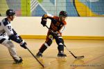 Photo hockey reportage CDF Roller : Les Tigres régalent