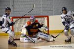 Photo hockey reportage CDF Roller : Les Tigres régalent