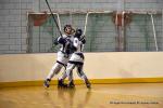Photo hockey reportage CDF Roller : Les Tigres régalent