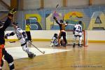 Photo hockey reportage CDF Roller : Les Tigres régalent