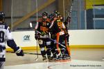 Photo hockey reportage CDF Roller : Les Tigres régalent