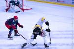 Photo hockey reportage Challenge U21 à Grenoble