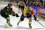 Photo hockey reportage CHL : Finir en beauté
