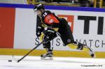 Photo hockey reportage CHL : Finir en beauté