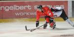 Photo hockey reportage CHL : Genève surclasse les Diables