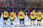 Photo hockey reportage CHL : Litvinov supérieur collectivement
