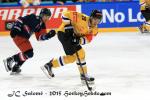 Photo hockey reportage CHL : Litvinov supérieur collectivement