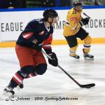 Photo hockey reportage CHL : Litvinov supérieur collectivement