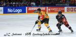 Photo hockey reportage CHL : Litvinov supérieur collectivement