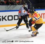 Photo hockey reportage CHL : Litvinov supérieur collectivement