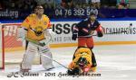 Photo hockey reportage CHL : Litvinov supérieur collectivement