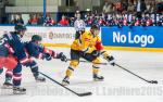Photo hockey reportage CHL : Litvinov supérieur collectivement