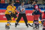 Photo hockey reportage CHL : Litvinov supérieur collectivement