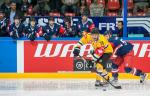 Photo hockey reportage CHL : Litvinov supérieur collectivement
