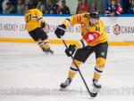 Photo hockey reportage CHL : Litvinov supérieur collectivement