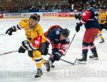 Photo hockey reportage CHL : Litvinov supérieur collectivement