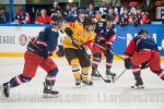 Photo hockey reportage CHL : Litvinov supérieur collectivement