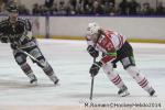 Photo hockey reportage Conti Cup : Les Dragons ont du cœur.