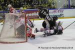 Photo hockey reportage Conti Cup : Les Dragons ont du cœur.